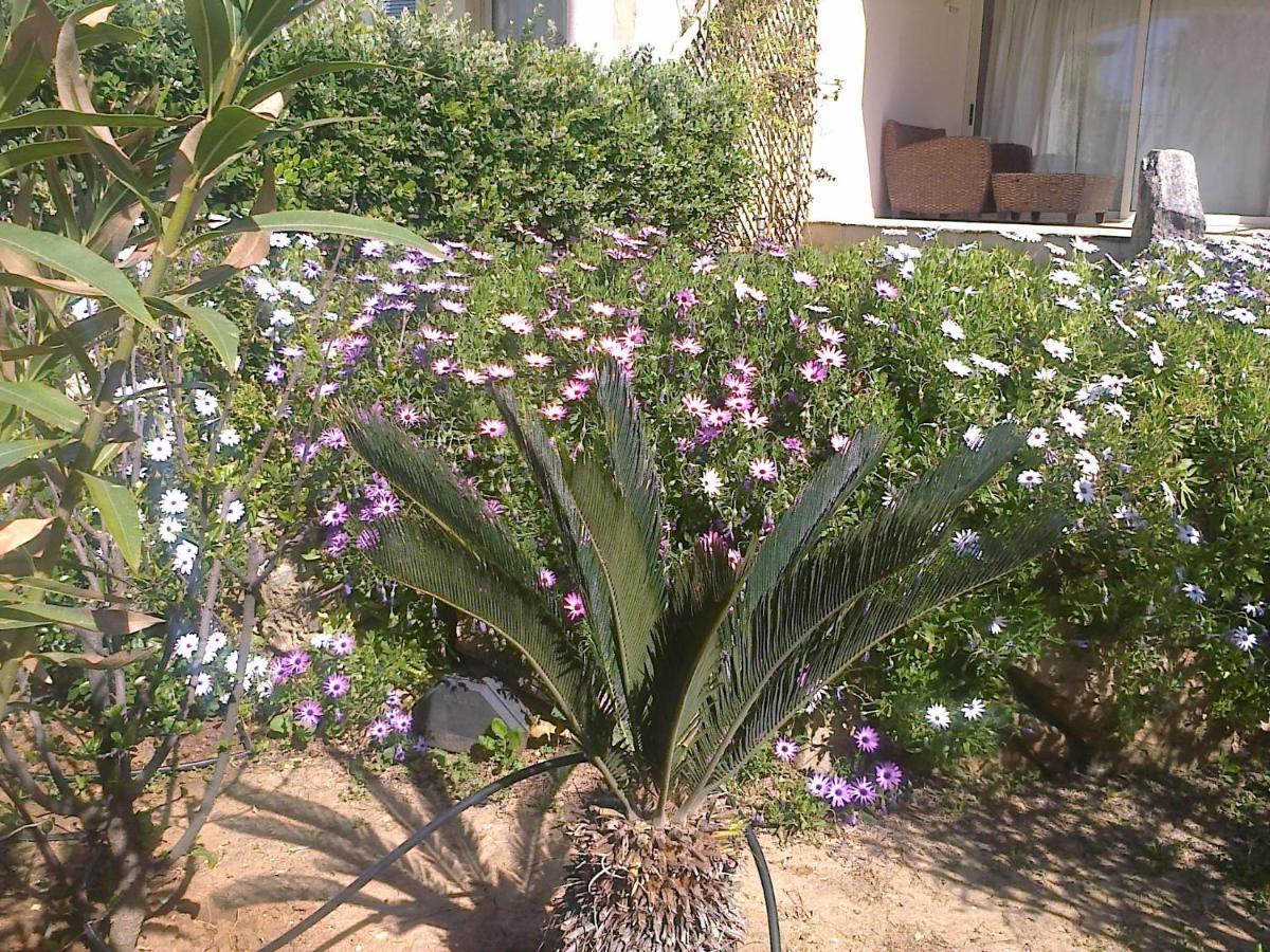 Apartament Leon Maleme Do 6 Os.公寓 外观 照片